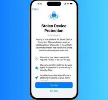 大丰镇苹果授权维修店分享被盗设备保护功能开启方法 