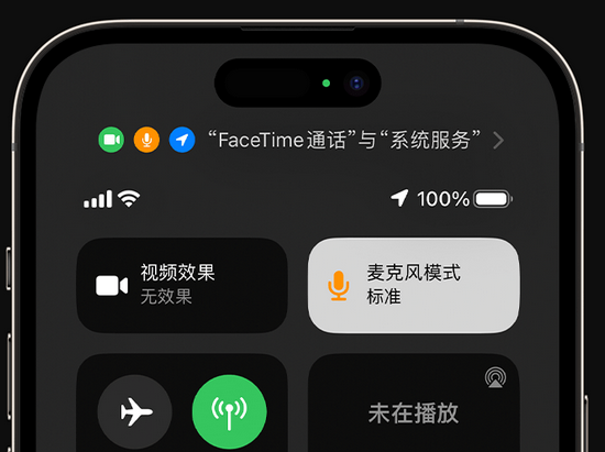 大丰镇苹果授权维修网点分享iPhone在通话时让你的声音更清晰 