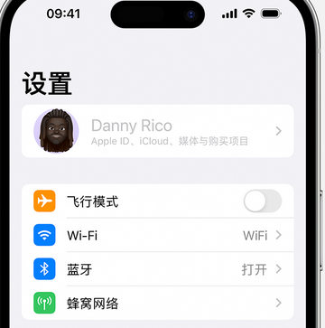 大丰镇appleID维修服务iPhone设置中Apple ID显示为灰色无法使用 