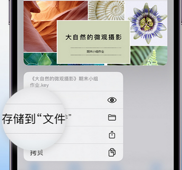 大丰镇apple维修中心分享iPhone文件应用中存储和找到下载文件