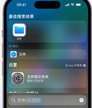 大丰镇apple维修中心分享iPhone文件应用中存储和找到下载文件 