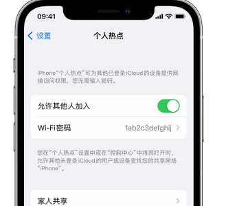 大丰镇apple服务站点分享iPhone上个人热点丢失了怎么办 