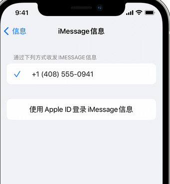 大丰镇apple维修iPhone上无法正常发送iMessage信息 