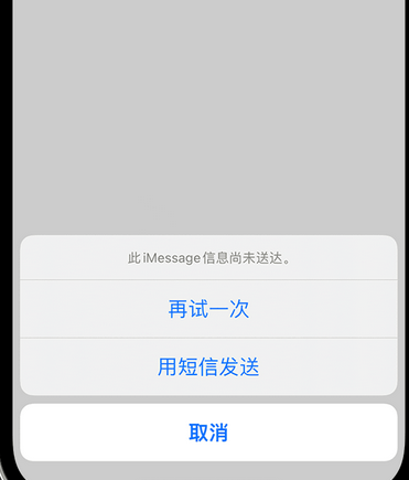 大丰镇apple维修iPhone上无法正常发送iMessage信息