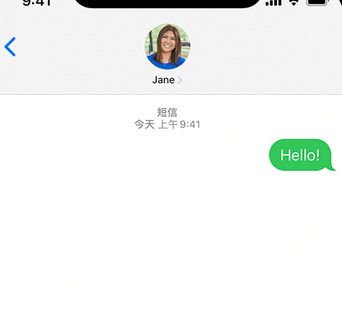 大丰镇apple维修iPhone上无法正常发送iMessage信息