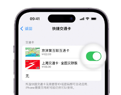 大丰镇apple维修点分享iPhone上更换Apple Pay快捷交通卡手绘卡面 