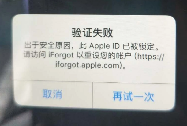 大丰镇iPhone维修分享iPhone上正常登录或使用AppleID怎么办 