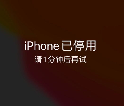 大丰镇苹果手机维修分享:iPhone 显示“不可用”或“已停用”怎么办？还能保留数据吗？ 