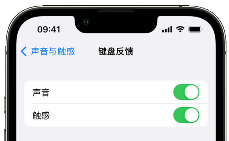 大丰镇苹果手机维修分享iPhone 14触感键盘使用方法 