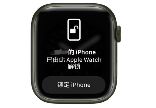 大丰镇苹果手机维修分享用 AppleWatch 解锁配备面容 ID 的 iPhone方法 