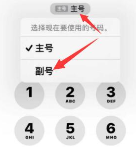 大丰镇苹果14维修店分享iPhone 14 Pro Max使用副卡打电话的方法 