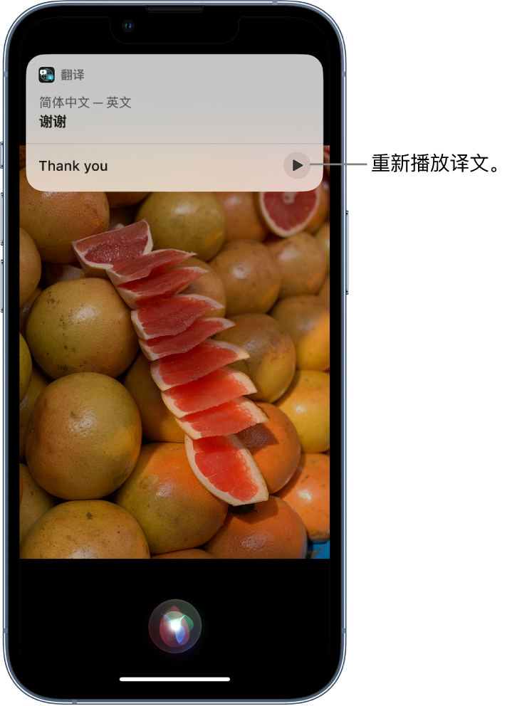 大丰镇苹果14维修分享 iPhone 14 机型中使用 Siri：了解 Siri 能帮你做什么 