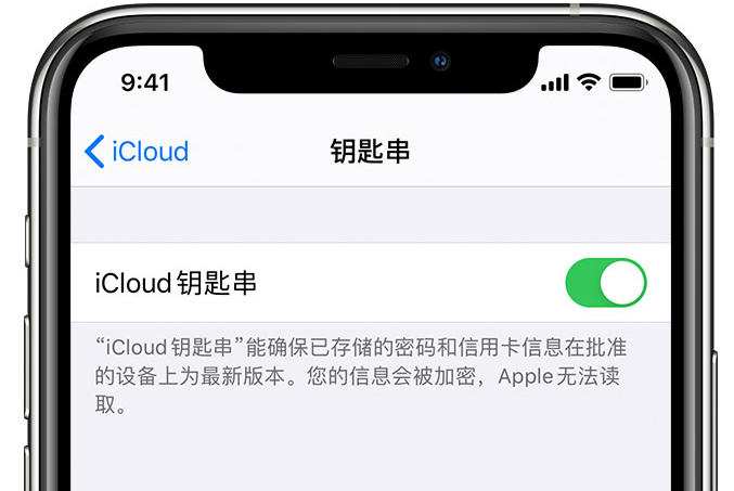 大丰镇苹果手机维修分享在 iPhone 上开启 iCloud 钥匙串之后会储存哪些信息 