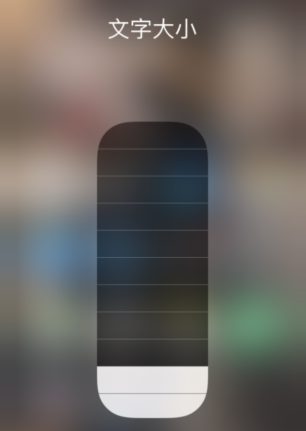 大丰镇苹果手机维修分享小技巧：在 iPhone 控制中心快速调节字体大小 