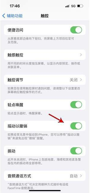 大丰镇苹果手机维修分享iPhone手机如何设置摇一摇删除文字 