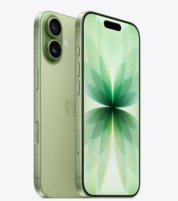 大丰镇苹果维修点分享iPhone 17黑屏小众故障要点解读 
